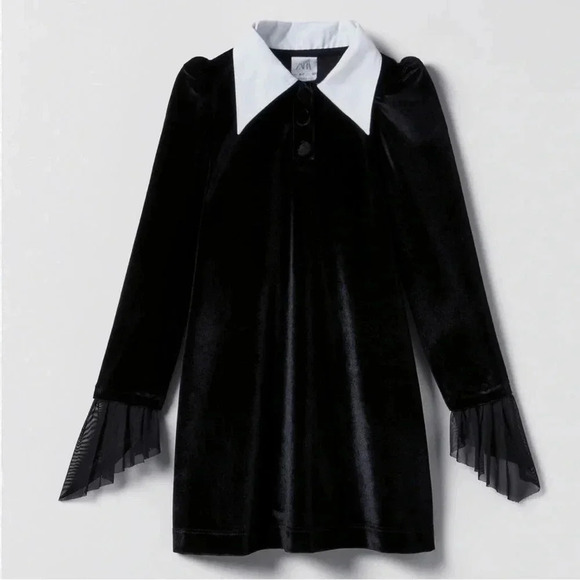 Zara Other - Zara Wednesday Dress